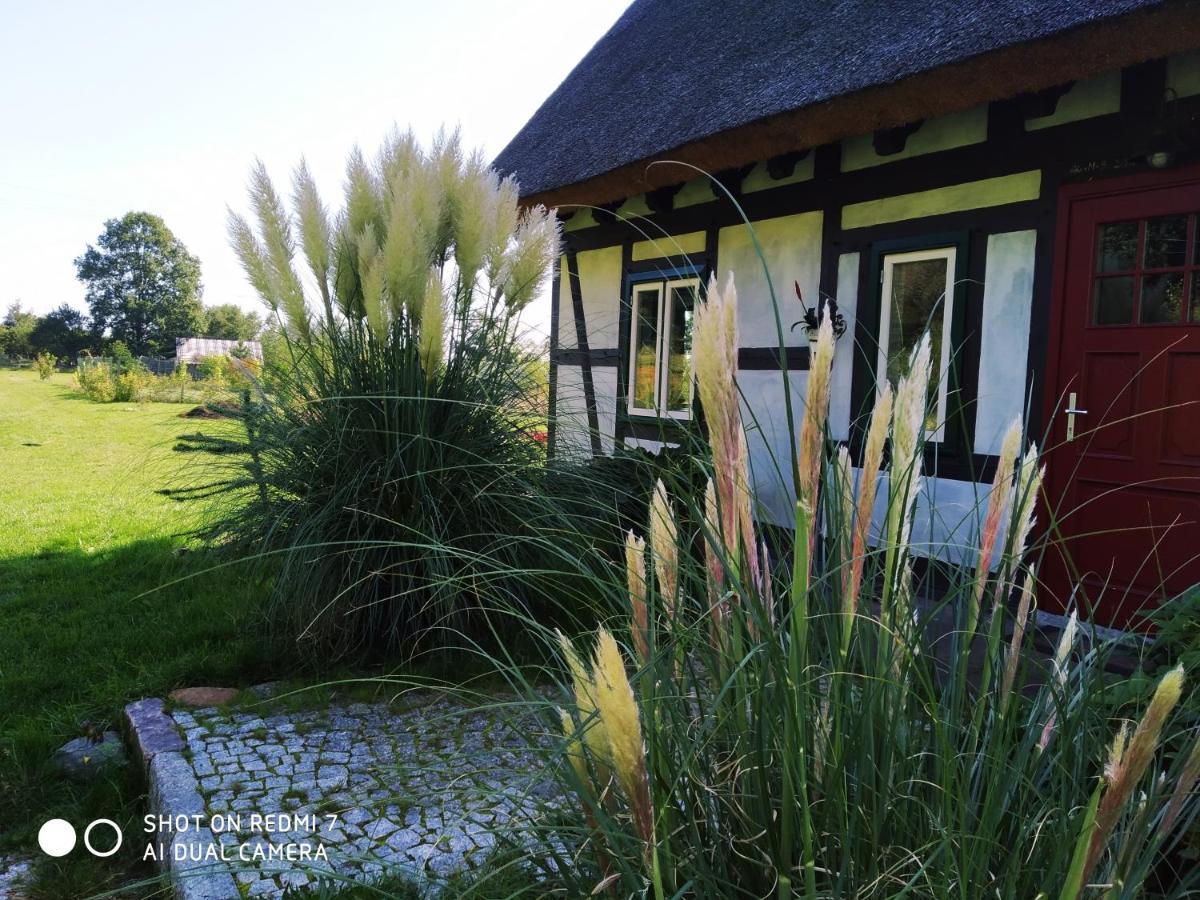 Podroze Checz Villa Charbrowo Ngoại thất bức ảnh