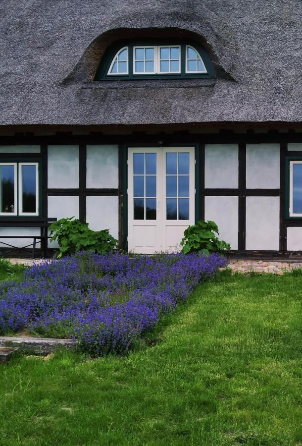 Podroze Checz Villa Charbrowo Ngoại thất bức ảnh