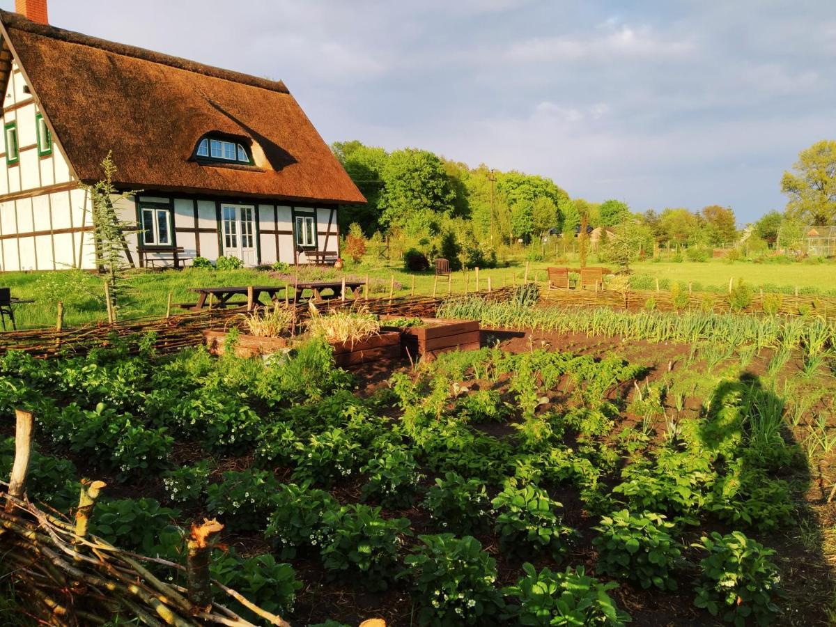 Podroze Checz Villa Charbrowo Ngoại thất bức ảnh